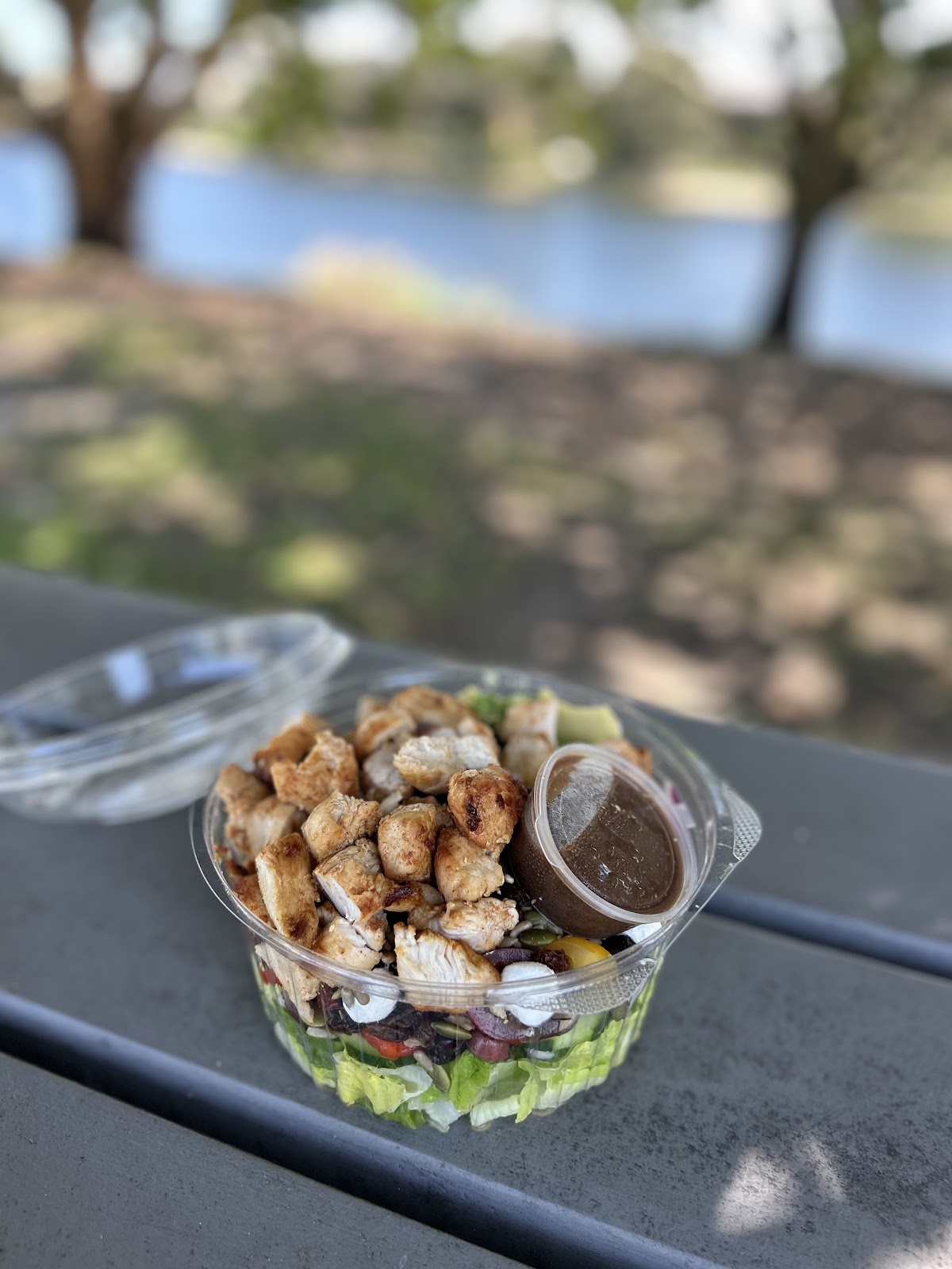 A grilled chicken salad to take away, eaten by the water